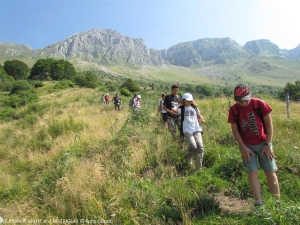 SKUPAJ KRN2015, Življenje medveda  - INSIEME KRN 2015, La vita dell&#039;orso